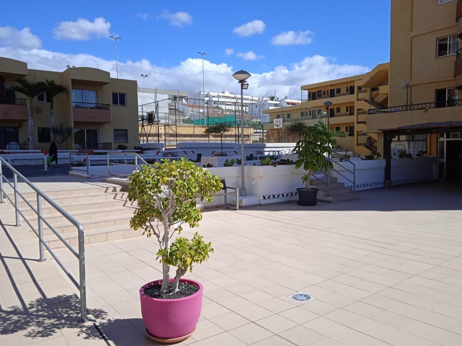 Firstline Apartment Los Cristianos Arona (Tenerife) Exterior foto